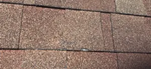 Finished roof repair on a Hillsborough County home