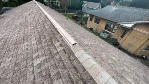 Finished roof repair blending into existing roofline in Hillsborough County