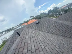 Shingles being set to spec during a Carrollwood roof replacement