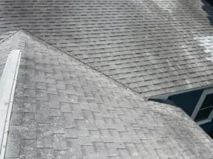 New underlayment being installed during a St. Petersburg roof replacement