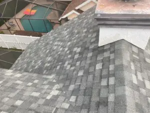 New underlayment going down during a roof replacement in Hillsborough County