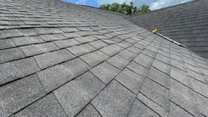 Shingles being replaced as part of a roof repair in Plant City