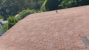 New underlayment being installed on a Hillsborough County roof replacement