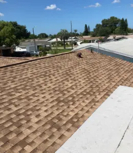 Fresh underlayment installed on a Pasco County roof replacement
