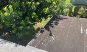 Crew working a roof replacement on a Clearwater home