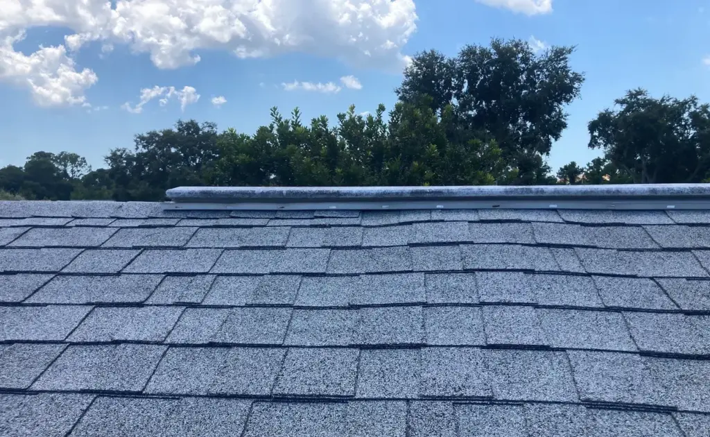 Tear-off in progress during a roof replacement in Clearwater, FL