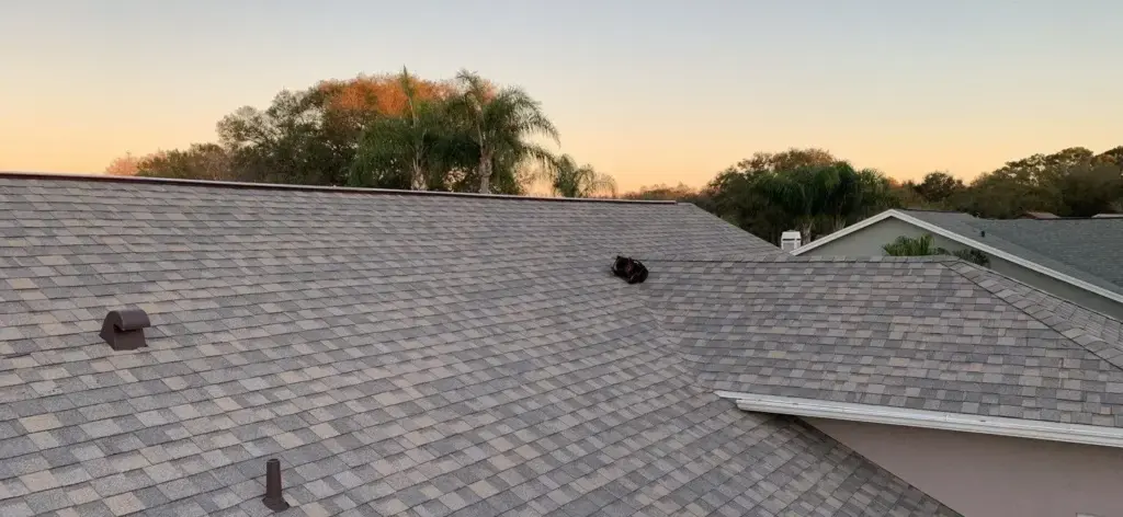 Tear-off in progress during a roof replacement in Hillsborough County