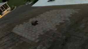 New underlayment and flashing installed during roof replacement in Hillsborough County