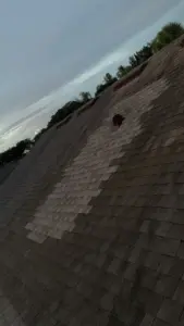 Finished roof replacement job in Hillsborough County, FL with ridge and drip edge complete