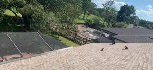 Crew installing underlayment on a roof replacement job in Hillsborough County, FL