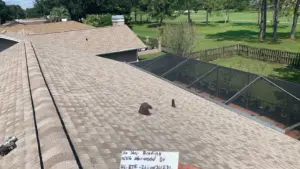 Finished roof after a full roof replacement in Hillsborough County, FL