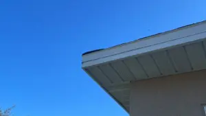 Finished shingle roof after a full roof replacement in Lutz, FL