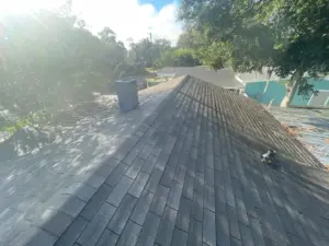 Bare decking exposed before underlayment install in Clearwater