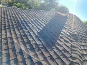 Crew installing underlayment on a roof replacement job in Hillsborough County