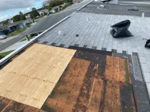 Close-up of new roofing material installed during a Hillsborough County roof replacement