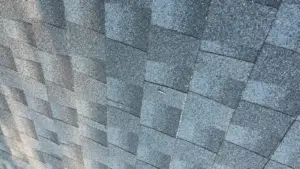 Bare decking exposed before new underlayment goes down in Hillsborough County roof replacement