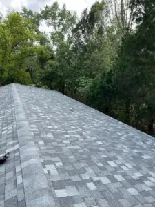 New shingles installed during a roof replacement job in Hillsborough County