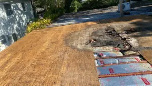 Finished roof line and ridge cap after a roof replacement in Hillsborough County, FL