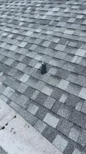 Completed roof replacement project in Hillsborough County with fresh shingles from eave to ridge