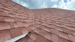 Fresh underlayment installed during roof replacement in Temple Terrace, FL
