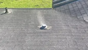 Finished roof after replacement project in Polk County