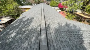 Finished roof replacement with squared ridge lines in Hillsborough County