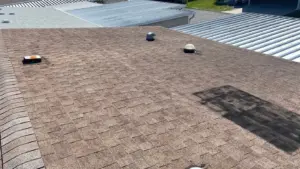 New shingles being installed during a Tampa Bay roof replacement job