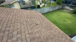 Fresh underlayment installed on a Pinellas County roof replacement project