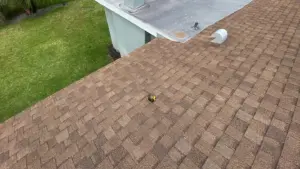 Shingles being set in sections during a residential roof replacement in Pinellas County