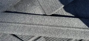 New shingles installed during Valrico roof replacement