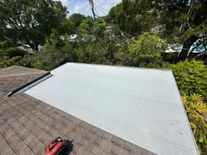 Fresh underlayment installed on a Clearwater roof replacement project